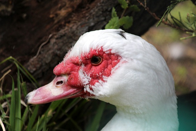 一直以来都 一直以来都