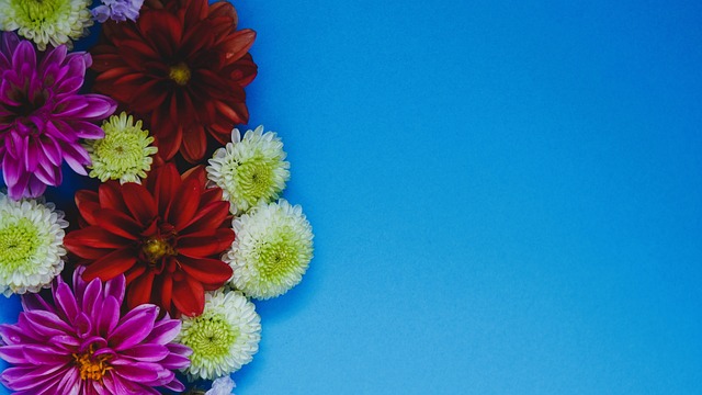 不仅仅是个 不仅仅是个