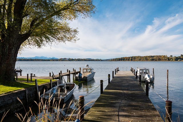 可贵和运动 可贵和运动