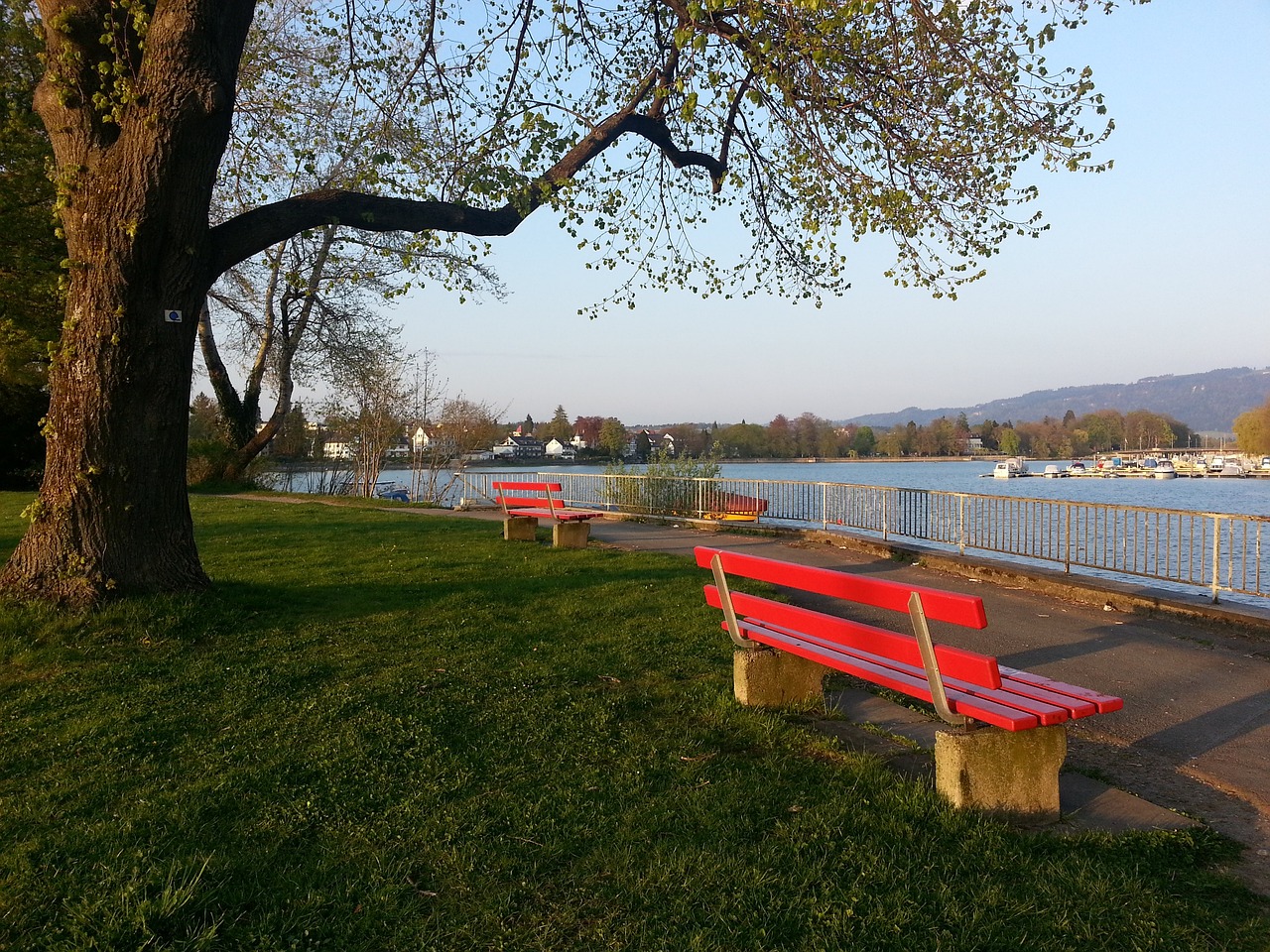 同时保证球 同时保证球